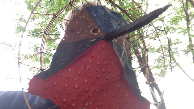 Hummingbird