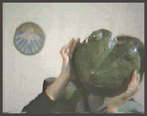 Frog