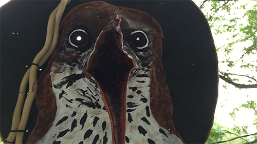 Wood Thrush