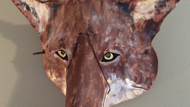 Coyote