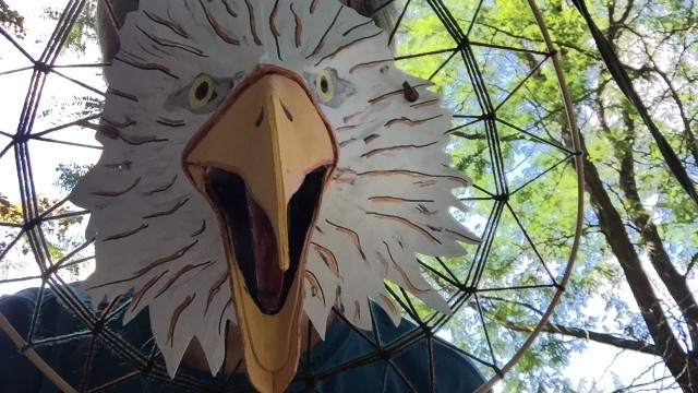 Eagle2_worn